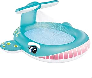 Whale Spray Pool