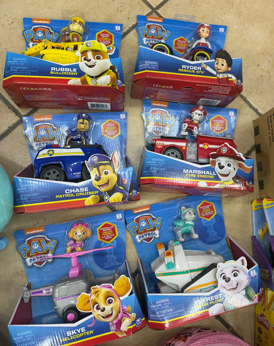 PAW PATROL VEICOLO BASIC