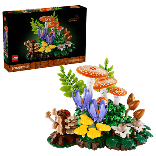 Funghi del bosco